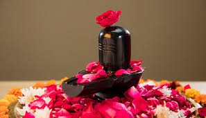 Rudrabhishek Pujan